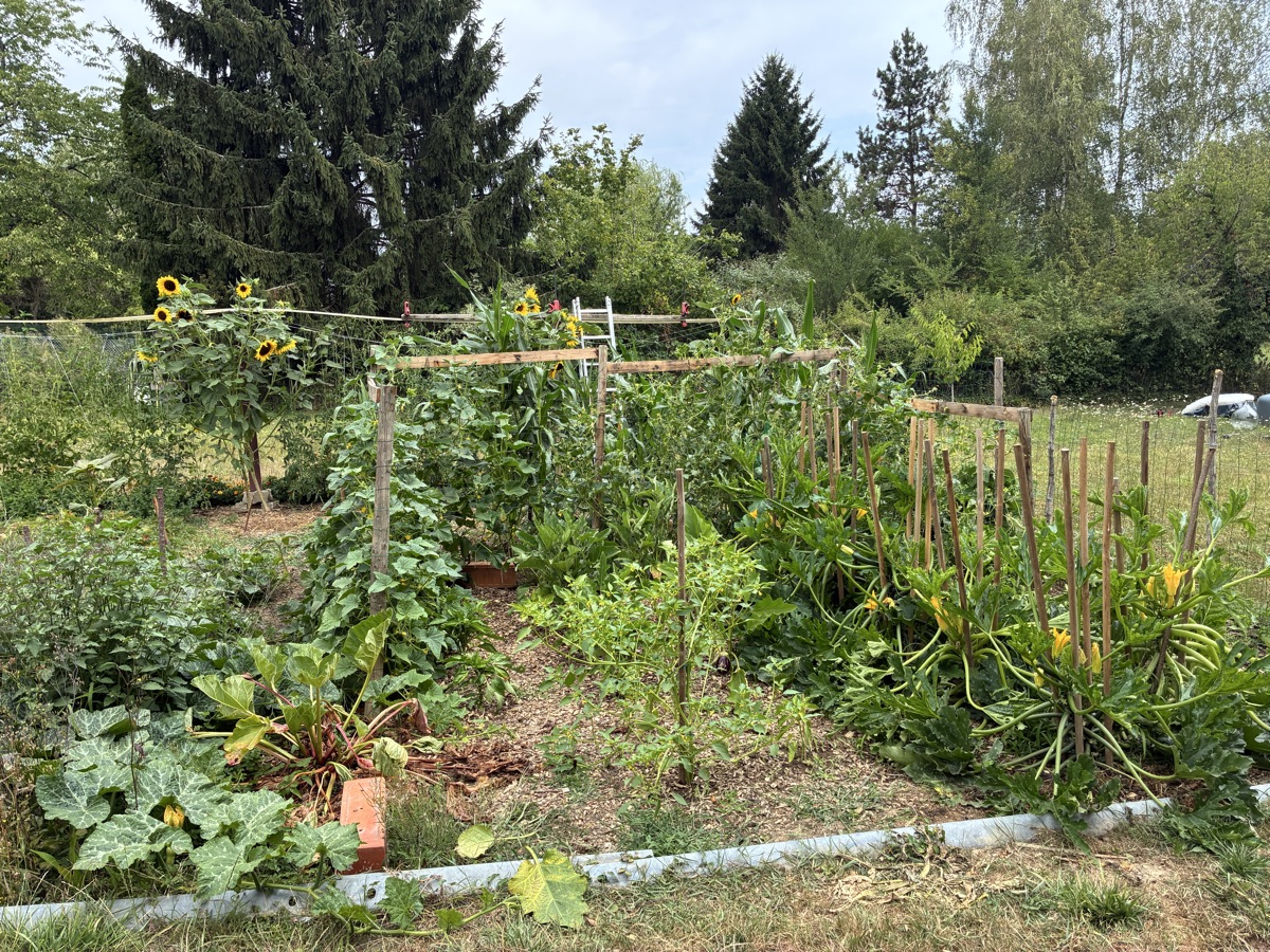 Pot Âgé Du Sun D Gau