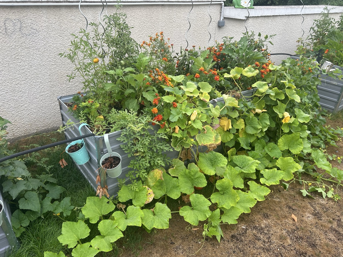 Le Potager De Plume