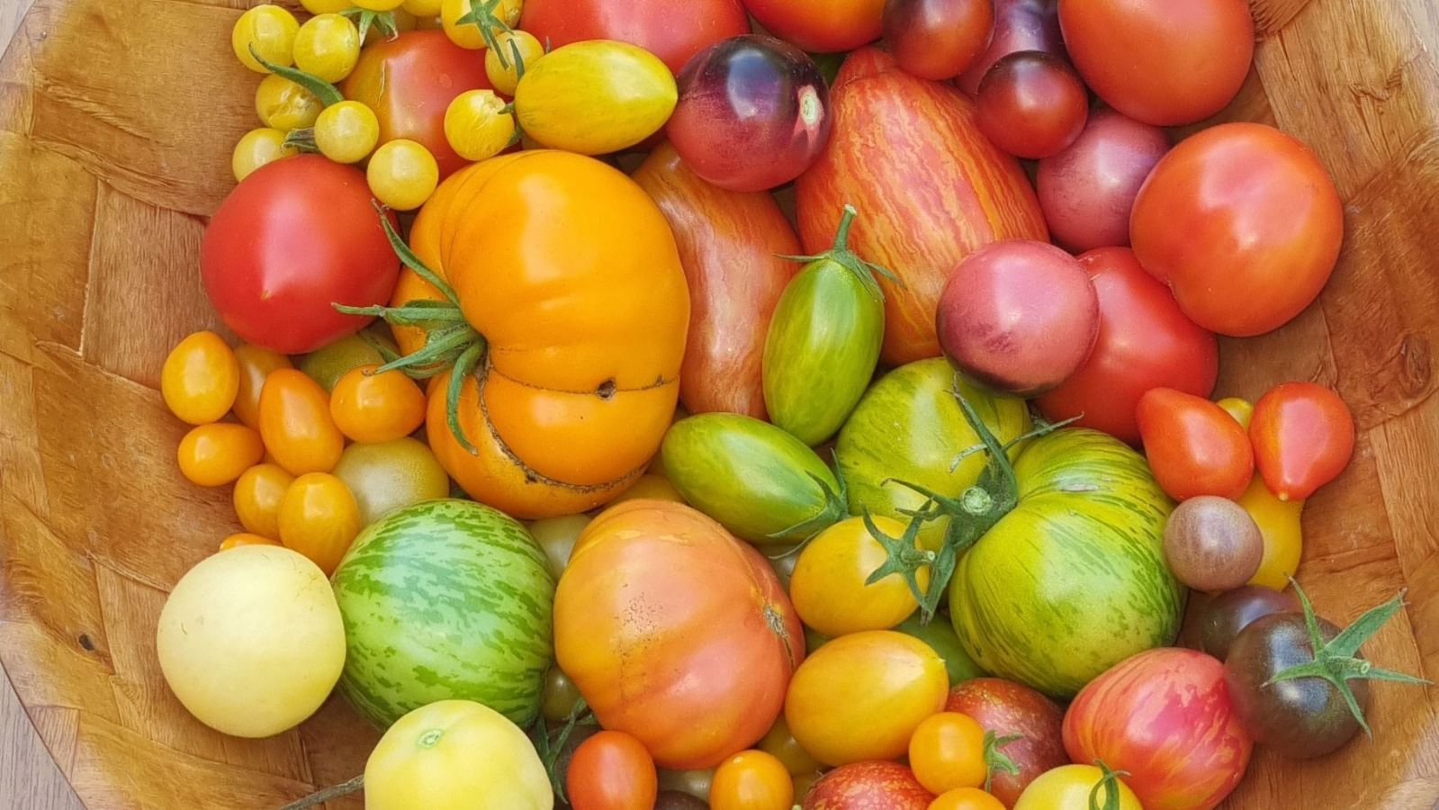 Potager d'Elena