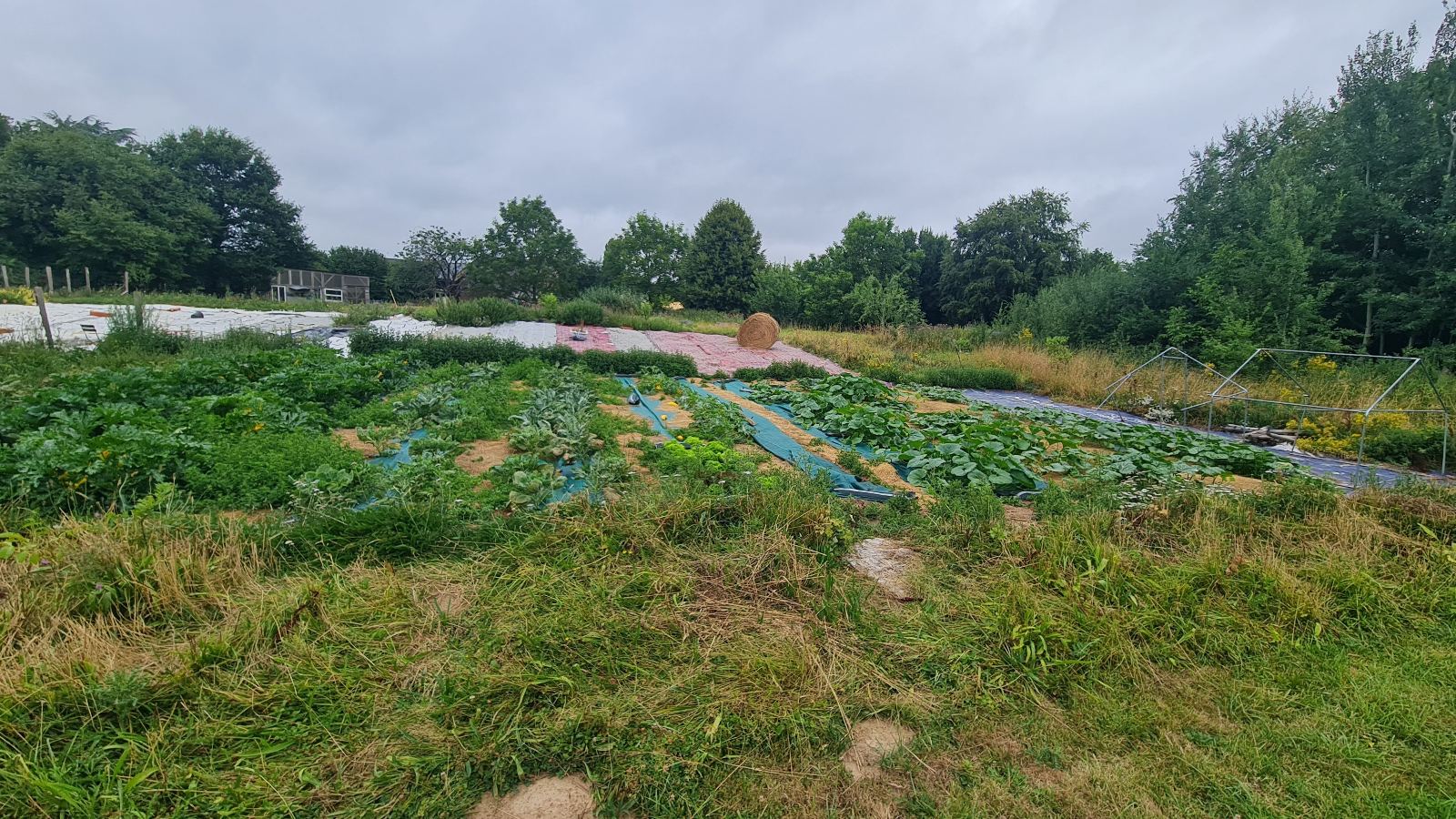 La Basse Perma