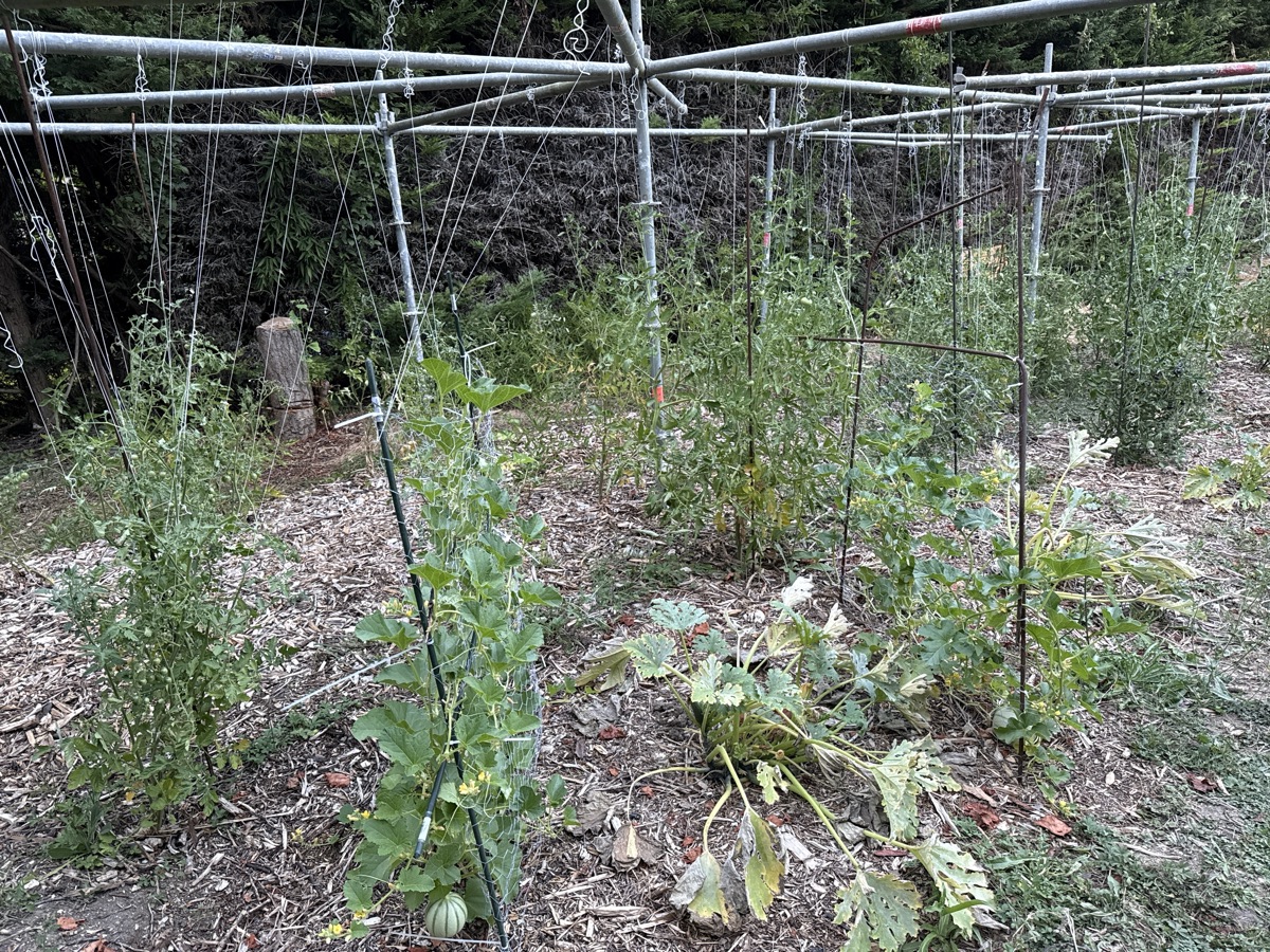 Le Potager de Sarah
