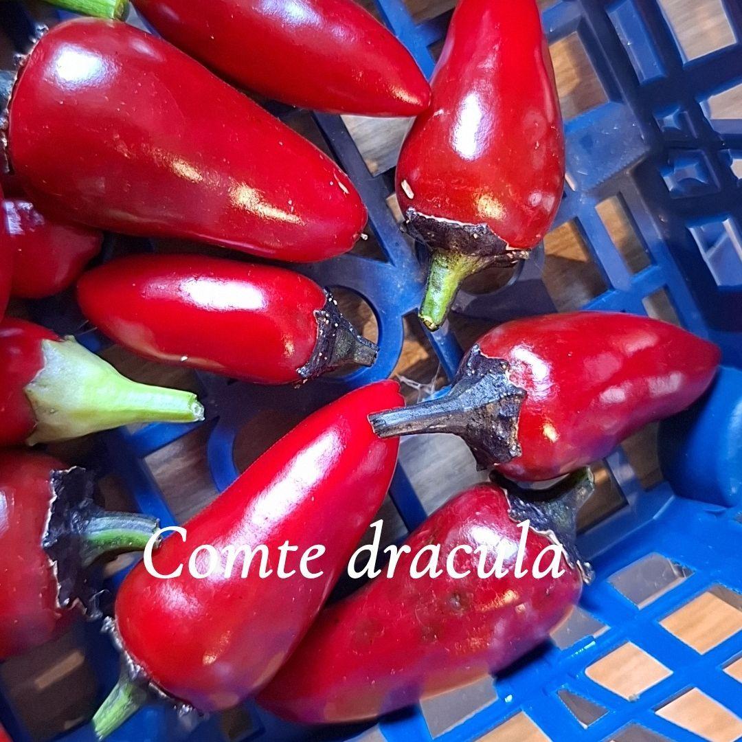 Piment proposé à Monteignet-sur-l'Andelot