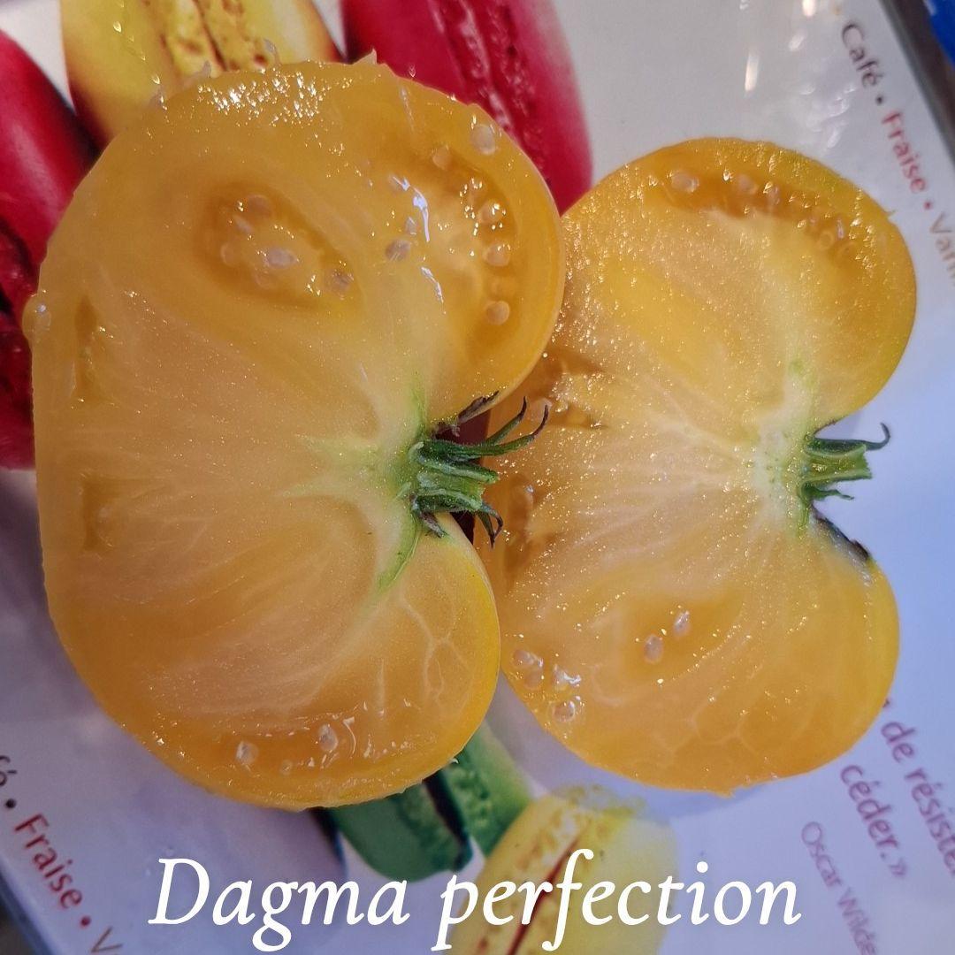 Tomate proposé à Monteignet-sur-l'Andelot
