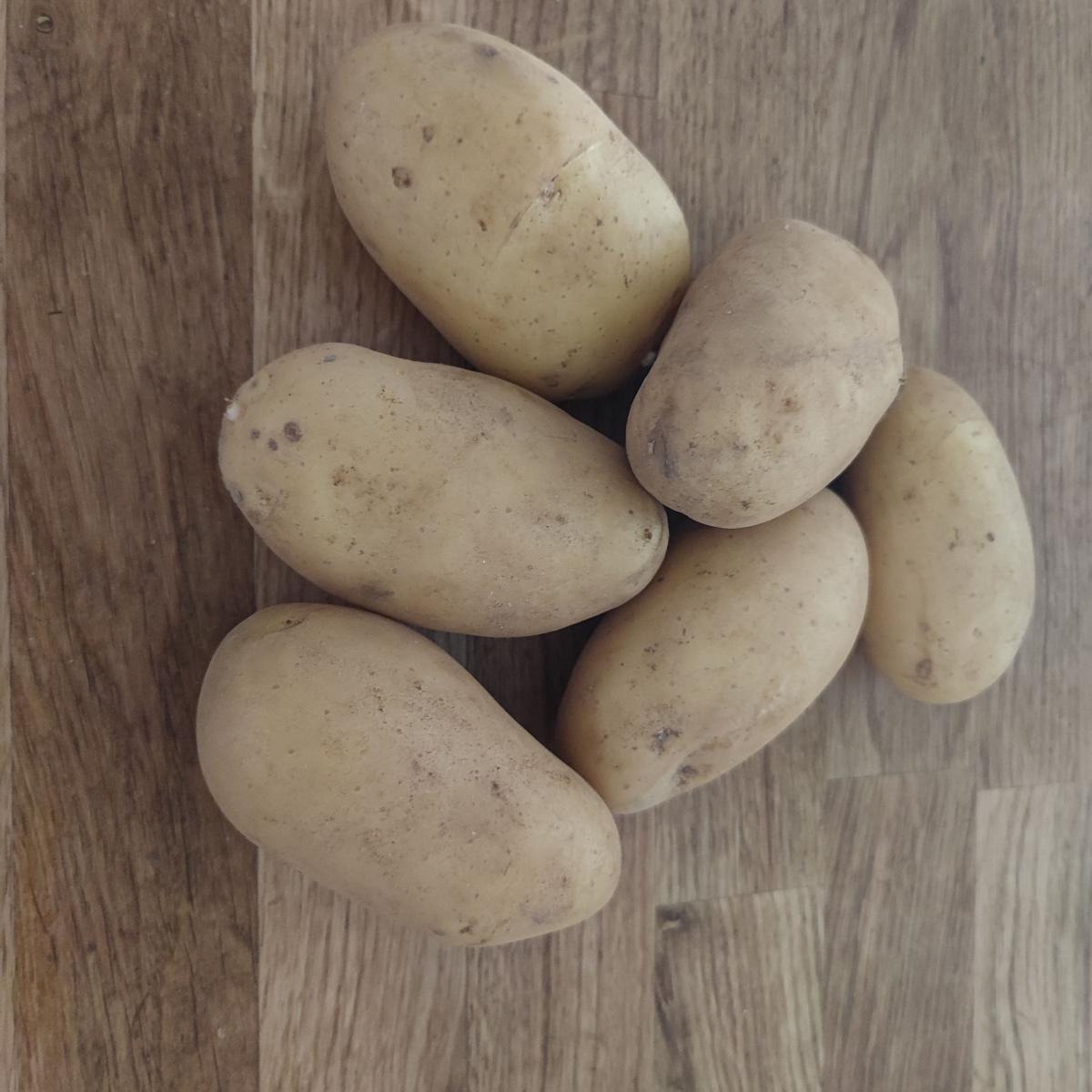 Pomme de terre 
