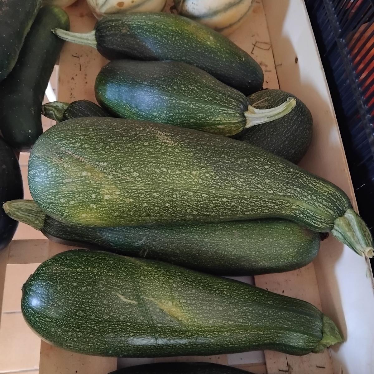 Courgettes