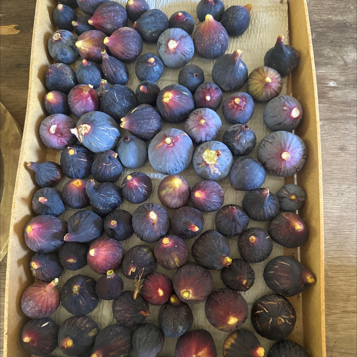 Figues 